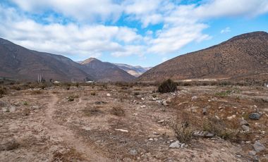 Venta de parcela sector El Manzano, Andacollo,10.000 m2. $69 millones