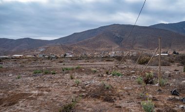 Venta de parcela sector El Manzano, Andacollo,10.000 m2. $69 millones