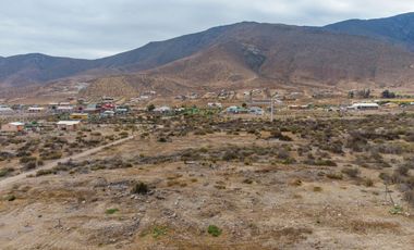 Venta de parcela sector El Manzano, Andacollo,10.000 m2. $69 millones