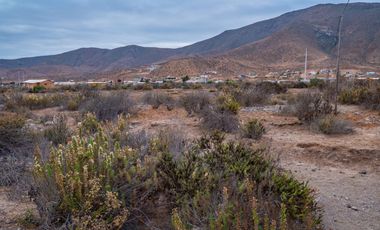 Venta de parcela sector El Manzano, Andacollo,10.000 m2. $69 millones