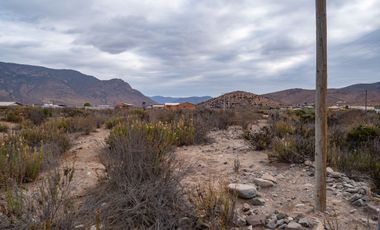 Venta de parcela sector El Manzano, Andacollo,10.000 m2. $69 millones