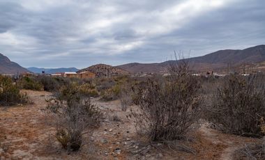 Venta de parcela sector El Manzano, Andacollo,10.000 m2. $69 millones