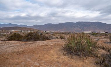 Venta de parcela sector El Manzano, Andacollo,10.000 m2. $69 millones