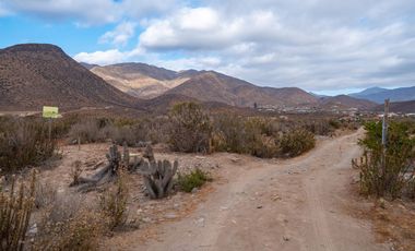 Venta de parcela sector El Manzano, Andacollo,10.000 m2. $69 millones