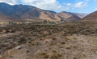 Venta de parcela sector El Manzano, Andacollo,10.000 m2. $69 millones
