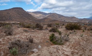 Venta de parcela sector El Manzano, Andacollo,10.000 m2. $69 millones