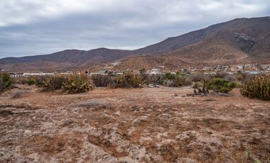 Venta de parcela sector El Manzano, Andacollo,10.000 m2. $69 millones
