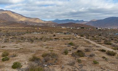 Venta de parcela sector El Manzano, Andacollo,10.000 m2. $69 millones
