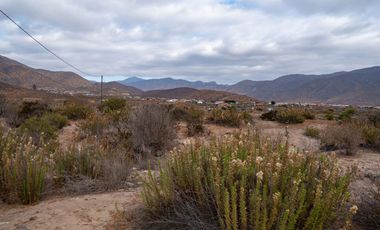 Venta de parcela sector El Manzano, Andacollo,10.000 m2. $69 millones