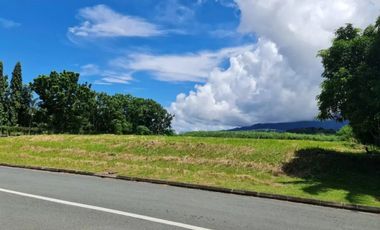 Land for rent in Laguna, Calamba