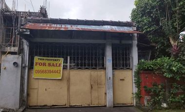 Property House and lot For Sale in Teachers Village Quezon City with 400 sqm PH2649