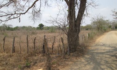 FINCA DE 15 HTS A 5 KLM DE SABANAGRANDE VIA MALAMBO.