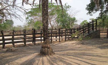 FINCA DE 15 HTS A 5 KLM DE SABANAGRANDE VIA MALAMBO.