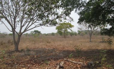 FINCA DE 15 HTS A 5 KLM DE SABANAGRANDE VIA MALAMBO.