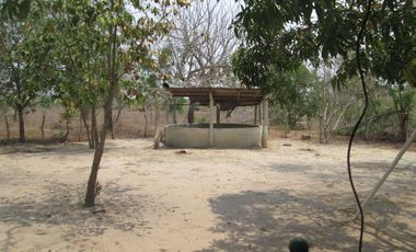 FINCA DE 15 HTS A 5 KLM DE SABANAGRANDE VIA MALAMBO.
