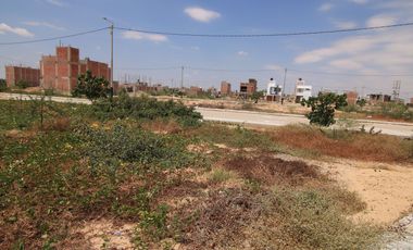 OPORTUNIDAD DE NEGOCIO VENTA DE DOS TERRENOS JUNTOS –URB. ALAMEDA COUNTRY CLUB-CASTILLA-PIURA