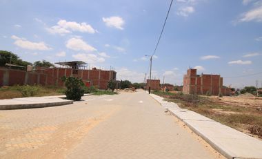 OPORTUNIDAD DE NEGOCIO VENTA DE DOS TERRENOS JUNTOS –URB. ALAMEDA COUNTRY CLUB-CASTILLA-PIURA