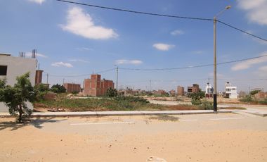 OPORTUNIDAD DE NEGOCIO VENTA DE DOS TERRENOS JUNTOS –URB. ALAMEDA COUNTRY CLUB-CASTILLA-PIURA