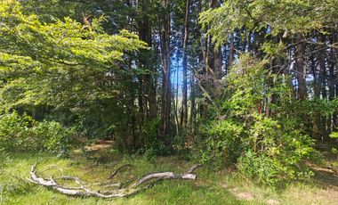Parcelas En Coñaripe, Crédito directo, red de agua y luz