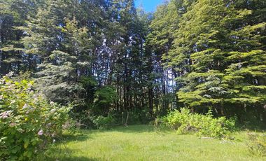 Parcelas En Coñaripe, Crédito directo, red de agua y luz