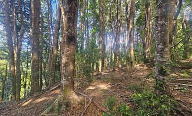Parcelas En Coñaripe, Crédito directo, red de agua y luz