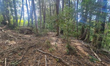 Parcelas En Coñaripe, Crédito directo, red de agua y luz