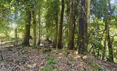 Parcelas En Coñaripe, Crédito directo, red de agua y luz