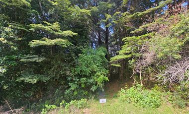Parcelas En Coñaripe, Crédito directo, red de agua y luz