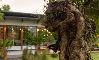 Picturesque Riverside Home on 8 rai Sawang Wirawong Ubon Ratchathani Thailand