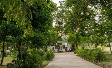 Picturesque Riverside Home on 8 rai Sawang Wirawong Ubon Ratchathani Thailand