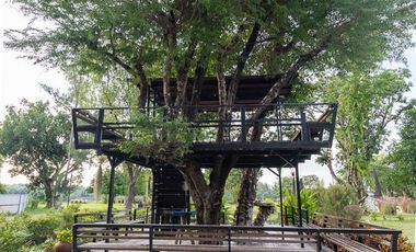 Picturesque Riverside Home on 8 rai Sawang Wirawong Ubon Ratchathani Thailand