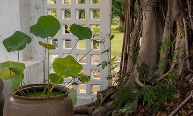 Picturesque Riverside Home on 8 rai Sawang Wirawong Ubon Ratchathani Thailand