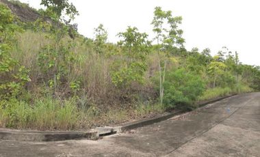 Resale Residential Lot 256 sqm (Uphill Lot) in Greenville Heights Consolacion