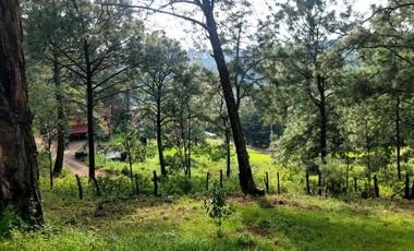 TERRENO EN VENTA MAZAMITLA