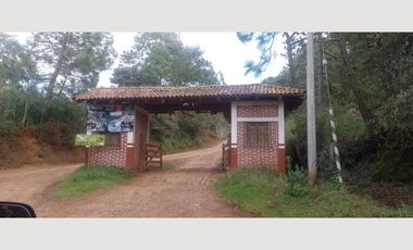 TERRENO EN VENTA MAZAMITLA