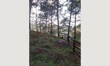 TERRENO EN VENTA MAZAMITLA