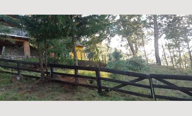 TERRENO EN VENTA MAZAMITLA