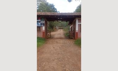 TERRENO EN VENTA MAZAMITLA