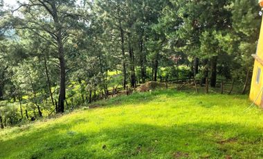 TERRENO EN VENTA MAZAMITLA
