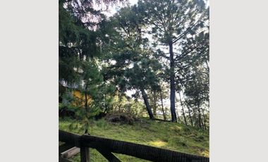 TERRENO EN VENTA MAZAMITLA