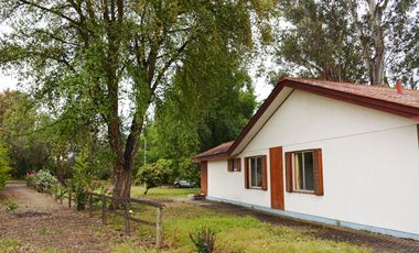 Quilpué, Parcela 3,8 Hás, productiva, casa 4 dormitorios +2 cabañas + piscina + pozo