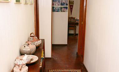 Quilpué, Parcela 3,8 Hás, productiva, casa 4 dormitorios +2 cabañas + piscina + pozo