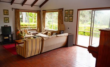 Quilpué, Parcela 3,8 Hás, productiva, casa 4 dormitorios +2 cabañas + piscina + pozo