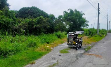 Mango Farm Near SCTX, Santiago Concepcion, Tarlac