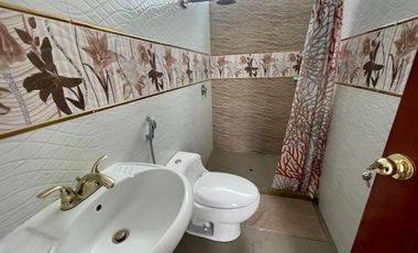 SE ALQUILA CASA Y 4 MINIDEPAS EN EL MISMO INMUEBLE