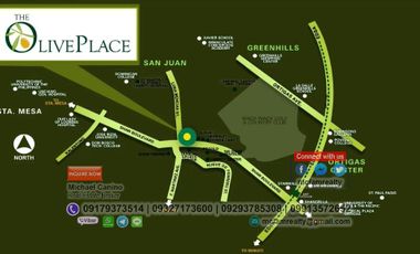 Condo For Sale Near Shangri-La Plaza Food Court The Olive Place