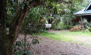 HOUSE AND LOT FOR SALE IN VALENCIA ID 14852