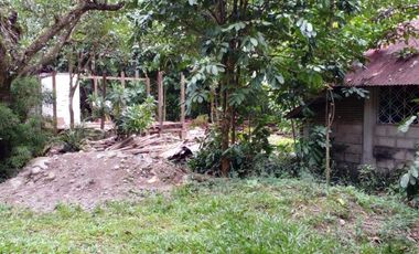 HOUSE AND LOT FOR SALE IN VALENCIA ID 14852