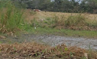 Terreno de Venta en el Nuevo Samborondón