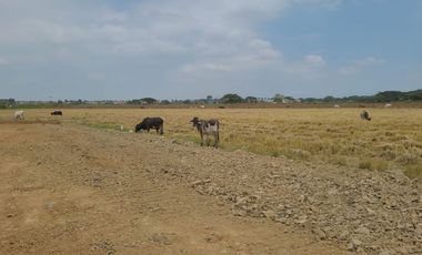 Terreno de Venta en el Nuevo Samborondón